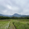 2024/06/06 木曜日　痔の手術
