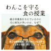 犬のお食事セミナーのご案内　〜 わんこを守る食の授業 〜