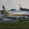  EL JA02AN B737-700(wl)