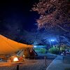 お花見キャンプで夜桜＆夜景堪能！大津谷公園キャンプ場（岐阜県）【前編】＃050