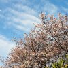 今週の三河の空　#698 週目