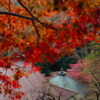 大山詣り登山　今年の紅葉の見頃は11月中旬