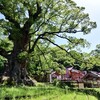 蒲生八幡神社は創建から900年、島津義弘も崇敬した大隅国の武神