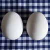 ダイエットにもおススメ♪主食を卵２個に置き換えるだけの『にこたま療法🥚🥚』