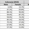 真夜中のドアと、悲しみが止まらないは、インドネシアで流行っていた。