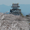 【大垣市】“豊臣兄弟”で築いた墨俣一夜城。
