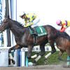 競馬初心者必見☆馬券予想🔥〜アンタレスステークス〜購入馬券大公開㊙︎