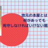 『仕事で大切なことはすべて尾崎の小さな本屋で学んだ』（川上徹也/著）