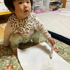 5歳と1歳　12月6日　後転