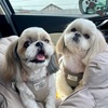 あ〜、疲れたッ