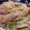 ゲソ天ぷら讃岐うどん