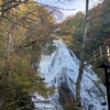 10月も終わり～孫の運動会と紅葉の旅と、もう花粉症？(⊙_⊙;)