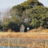 鳥ヶ池（兵庫県南あわじ）