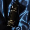 第80夜　Aoud Cuir d’Arabie