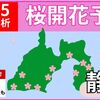 静岡県桜開花予想2025＆名所ガイド【中部・西部・東部】桜の開花日と満開予想