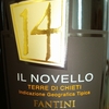 Il Novello Terre di Chieti Fantini Farnese 2014