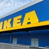 破格な値段🙌スウェーデン発祥の家具メーカー【IKEA】で軽食を堪能してみた🍽️