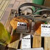 四浦半島河津桜巡り(ただし空振り)