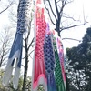 幼稚園：足の速い子、頭の良い子