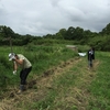6月28日 さつまいも植え付け 排水路作り ジャガイモ収穫 西畑除草 古田畝立て