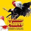 INABA / SALAS『Maximum Huavo』