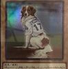 【遊戯王】デコピンカードが話題沸騰！効果・使い道・相性の良いデッキを徹底解説
