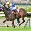 競馬初心者必見☆馬券予想🔥〜阪神牝馬S〜秋華賞2着の実績馬が力を見せる！