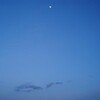  休日の視了 2日目
