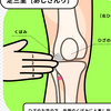 お灸は、足三里だけで良い。