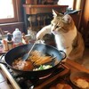 キャロライン・レビッド
