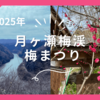 【奈良県】2025年 月ヶ瀬梅渓 梅まつりに行ってきました♪　投稿写真から開花状況をご確認ください。