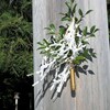 相模國一之宮・・・寒川神社