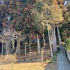 阿弥陀塚古墳(梵天山2号墳)  常陸太田市島町