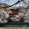 【京都】【御朱印】『醍醐寺』に行ってきました。京都旅行 京都桜 京都旅行 女子旅
