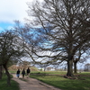 Bushy Park