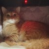 チャチャ君お迎え448日目