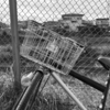 Photo No.2368 / 連休3日目（月曜日）