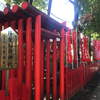 神社-361-隆栄稲荷神社   2021/9/20