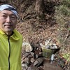 10日振りのラン
