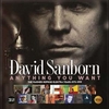 Anything You Want: Warner/Reprise/Elektra Years 1975-1999 / David Sanborn (2020 FLAC)