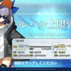 【FGO】ラムダリリスLv100