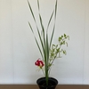 お生花新風体にはまってます