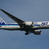  NH JA818A B787-8