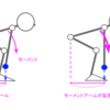 デッドリフトのフォームの基本を知っておこう【デッドリフトの科学】