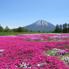 "ビュッフェの壁" に涙を呑む 　小樽３泊ふたり旅 2023.5.23-26 　２日目②　三島さんの芝桜庭園🚘高橋牧場🚘神仙沼