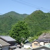 子供たちの花しょうぶ畑！