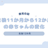 育児日記　生後11か月から12か月の赤ちゃんの変化