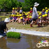 田植え（食育）