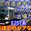 【1年ほどで消滅】E257系2000番台に見られた2種類のレアな形態とは？