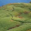 ▲雨飾山(1,963m)　2021年9月28日